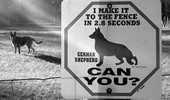 funny_sign_15